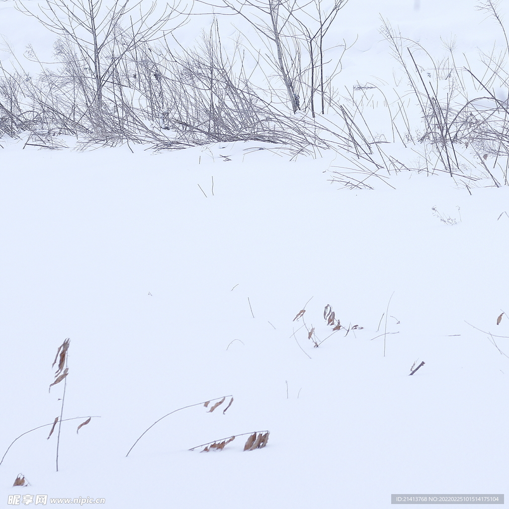 冬日雪景風景 