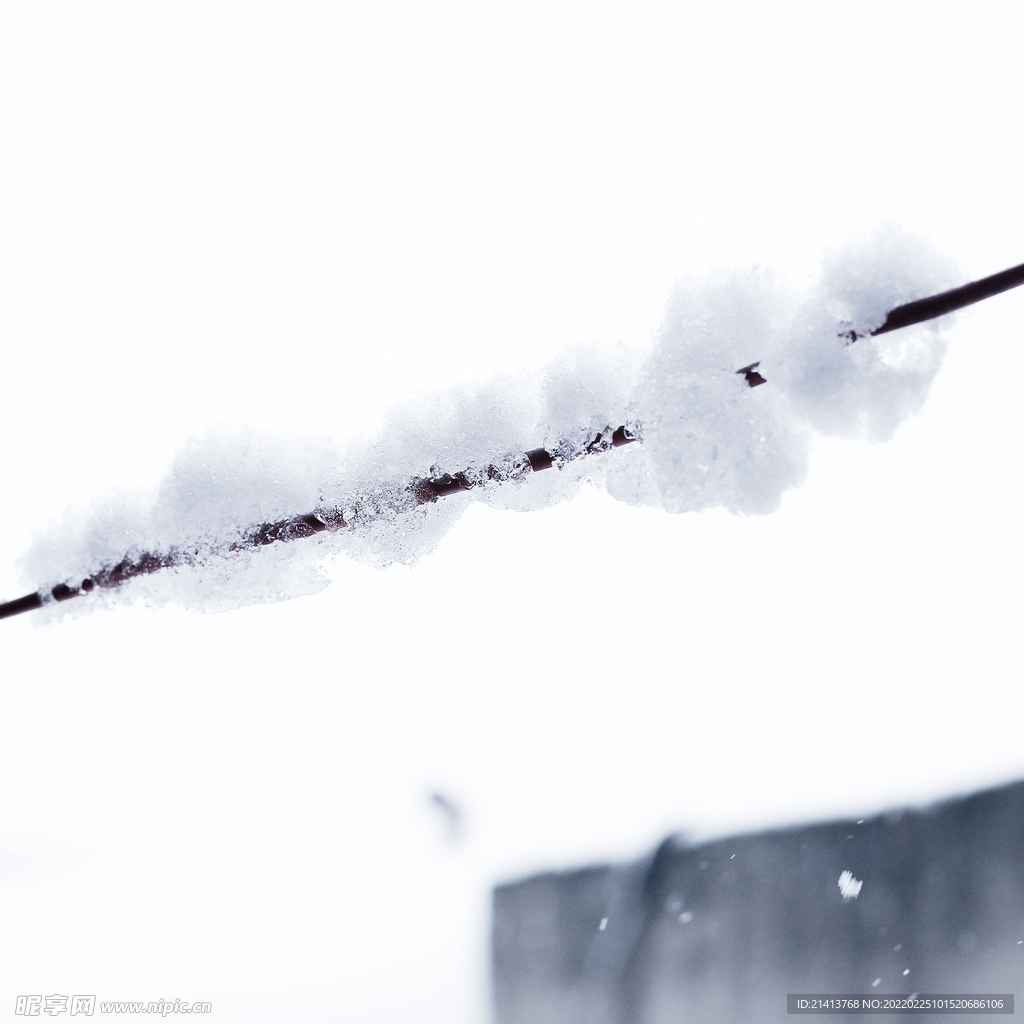 冬日雪景風景 