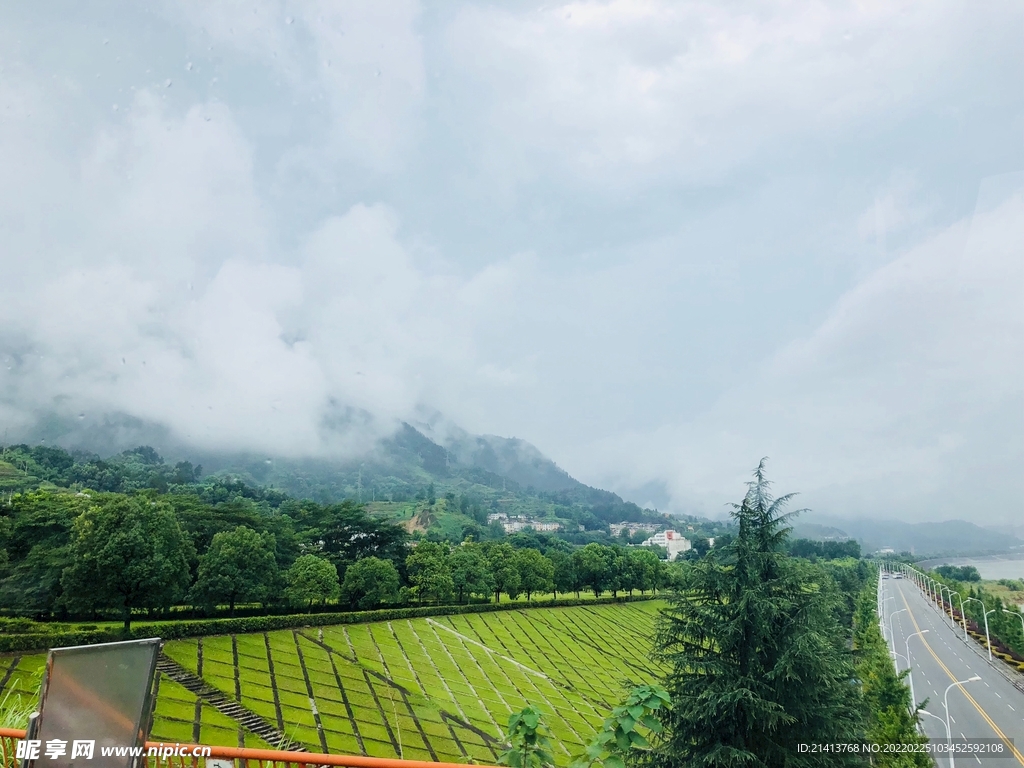 清新自然風景