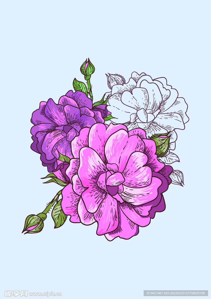 花卉植物