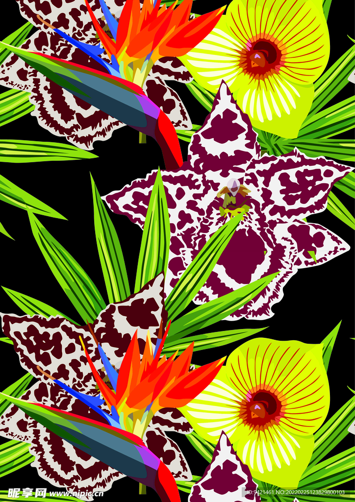 植物花卉