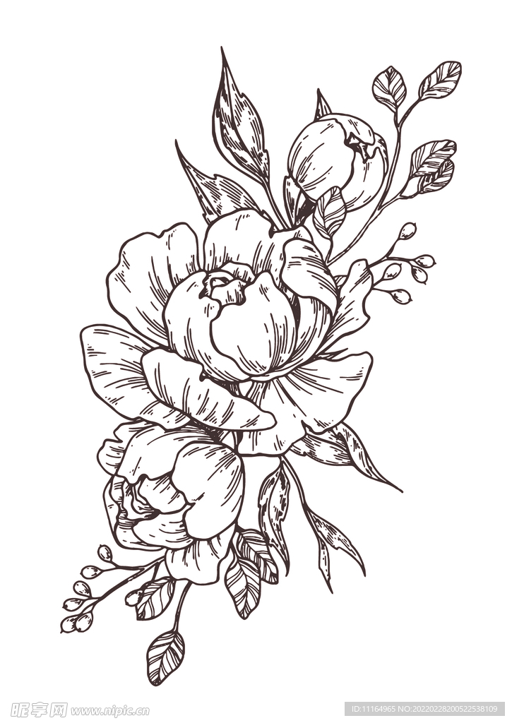 花草