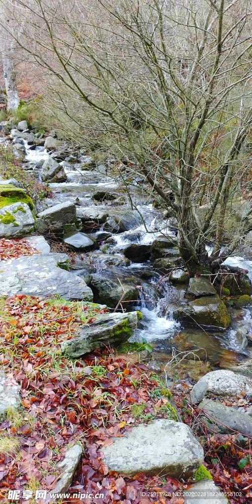 巖石 鵝卵石 小河 流水 河水