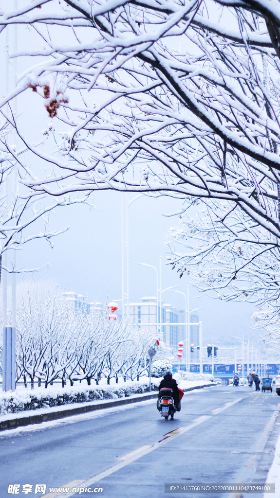 冬日雪景風景 