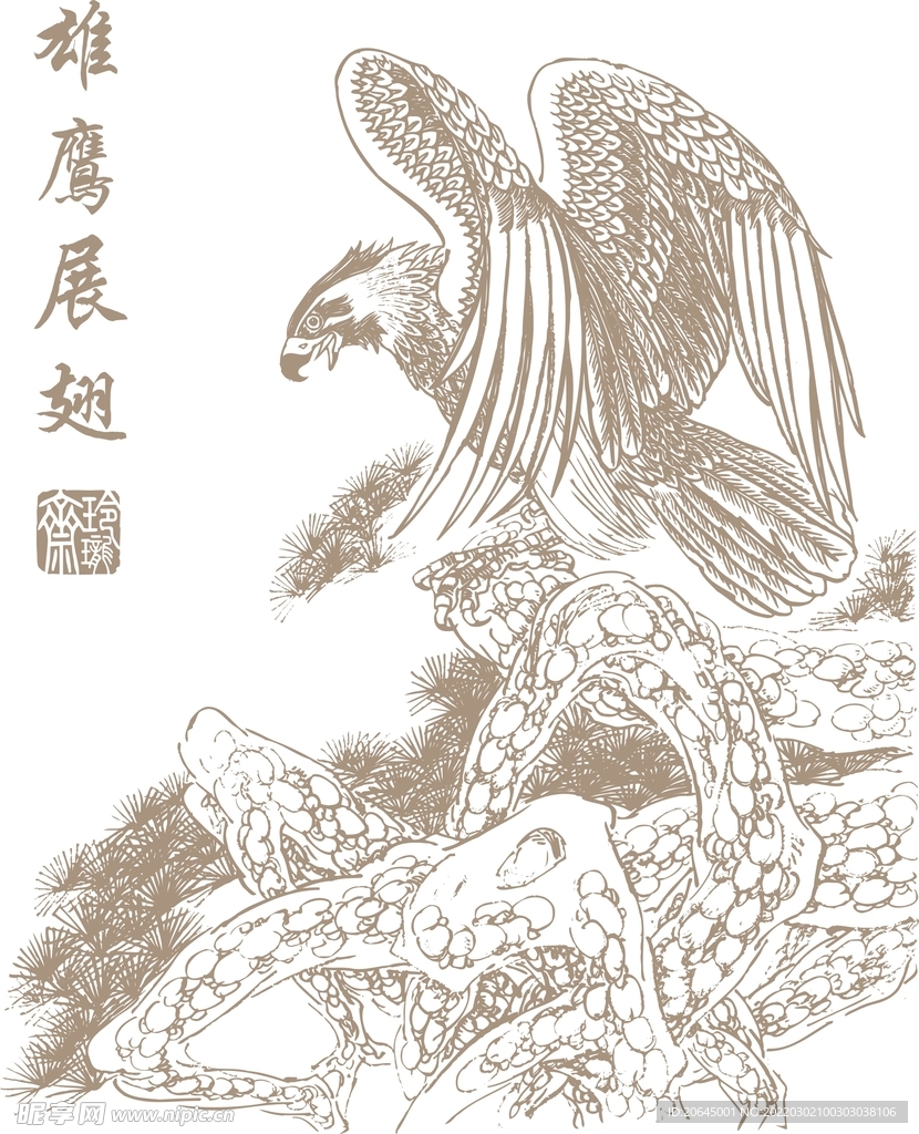 雄鷹展翅 