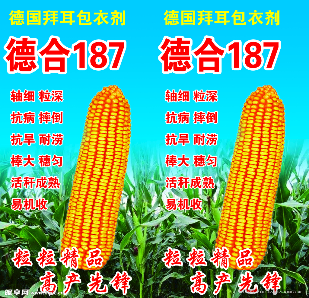 玉米