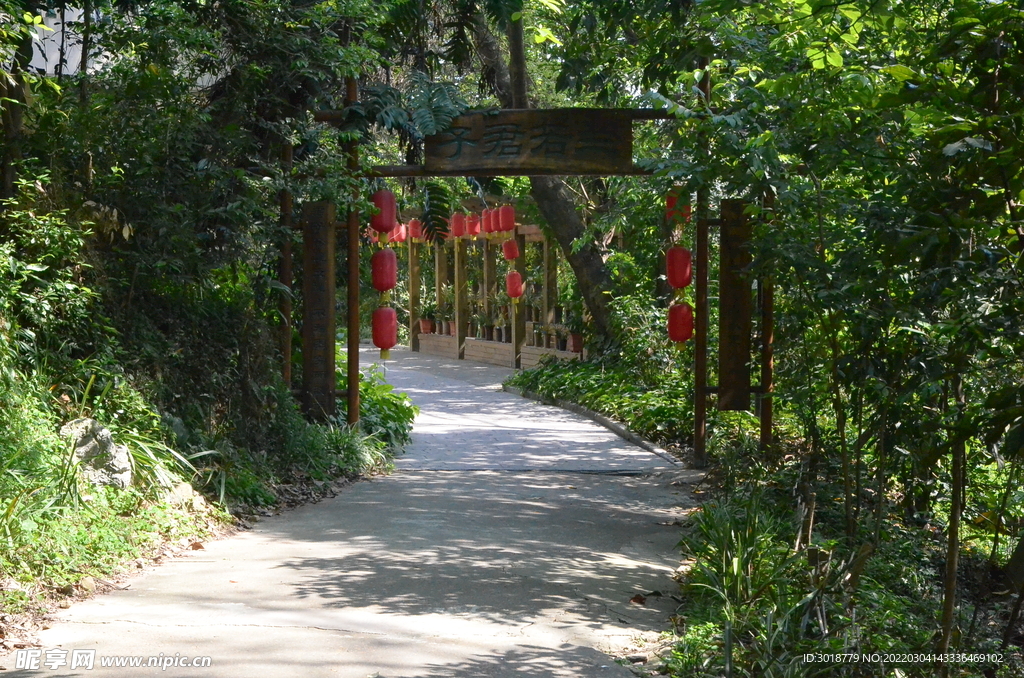 蘭苑小路