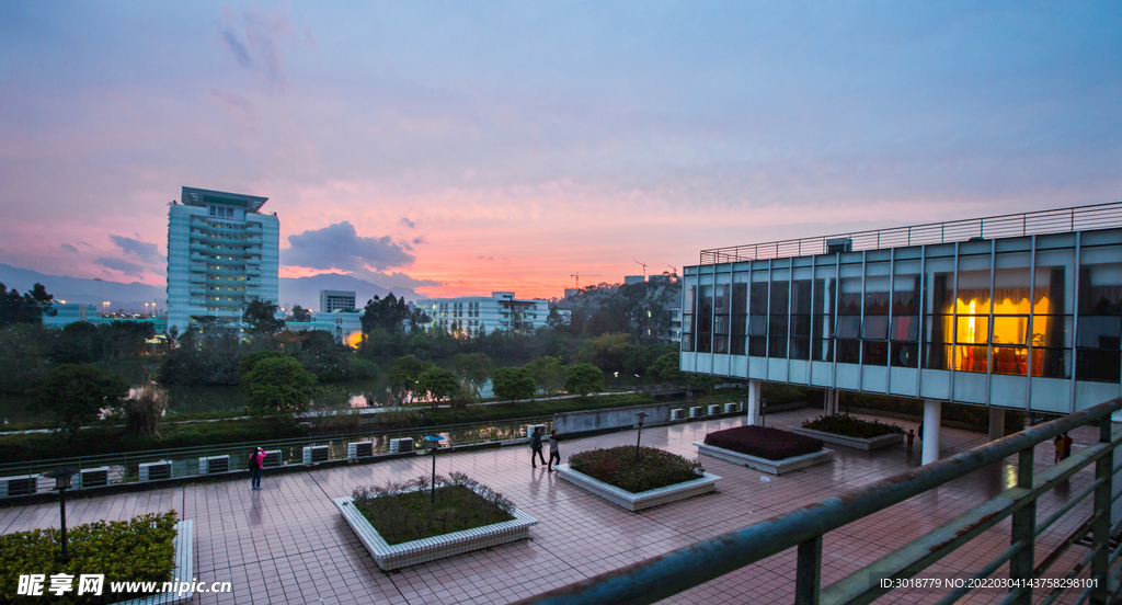大學(xué)校園 