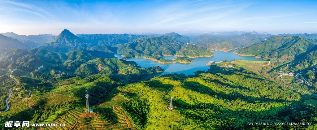 高山森林