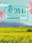 春游踏青季赏花宣传海报