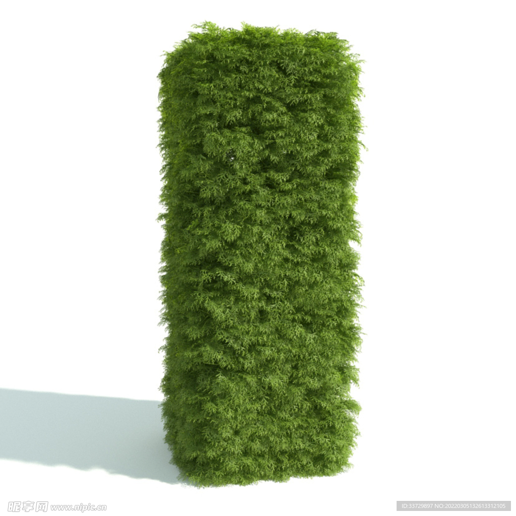 植物籬笆