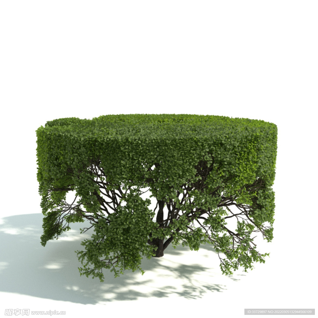 園藝模型 園林植物 園林模型 