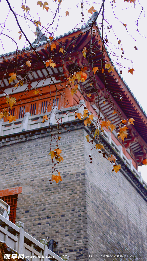 古典仿古建筑 