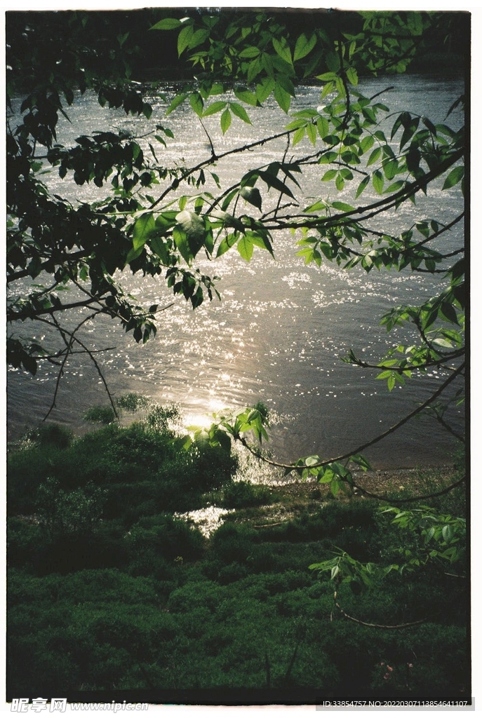 綠 水