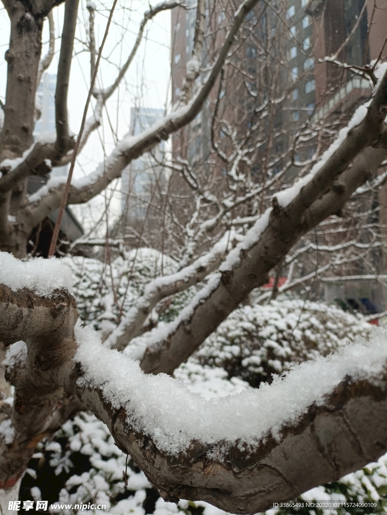 雪