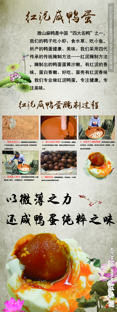 鴨蛋黃展架