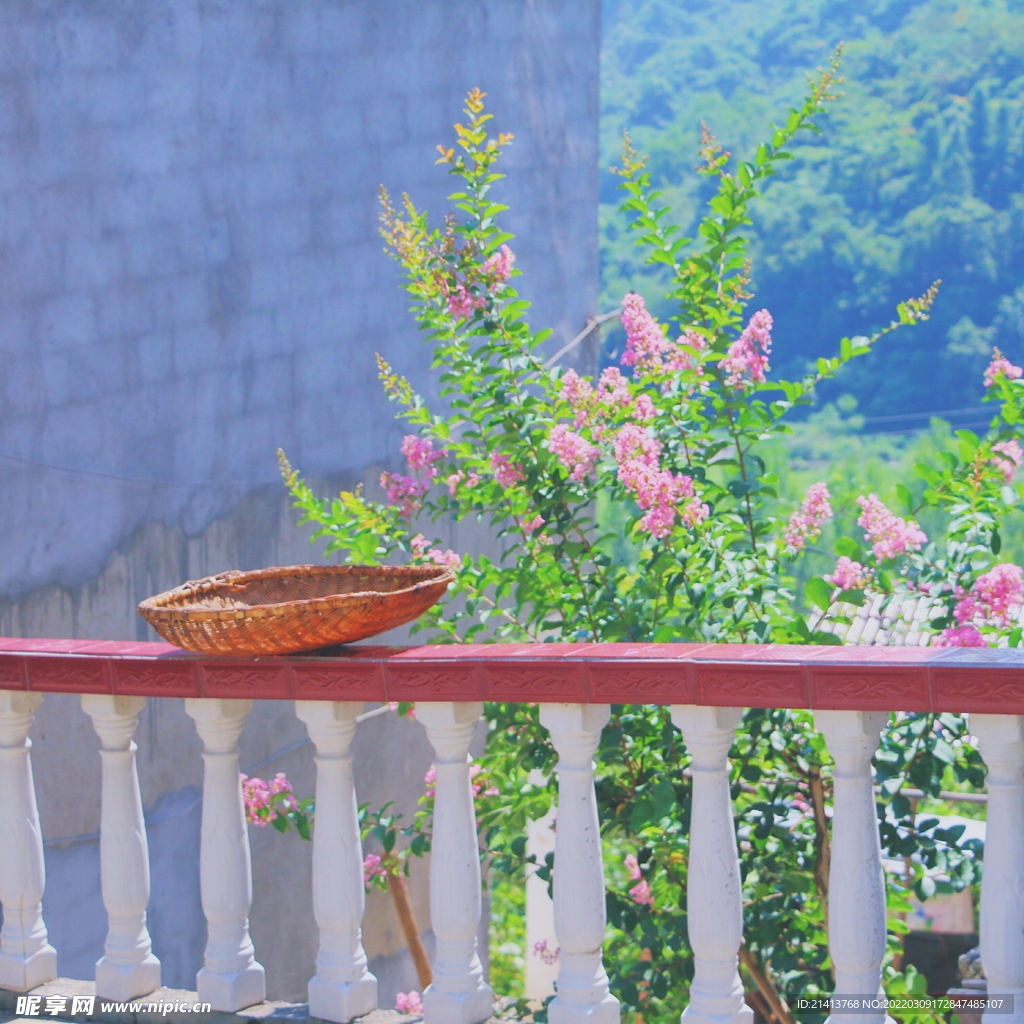 櫻花桃花梅花
