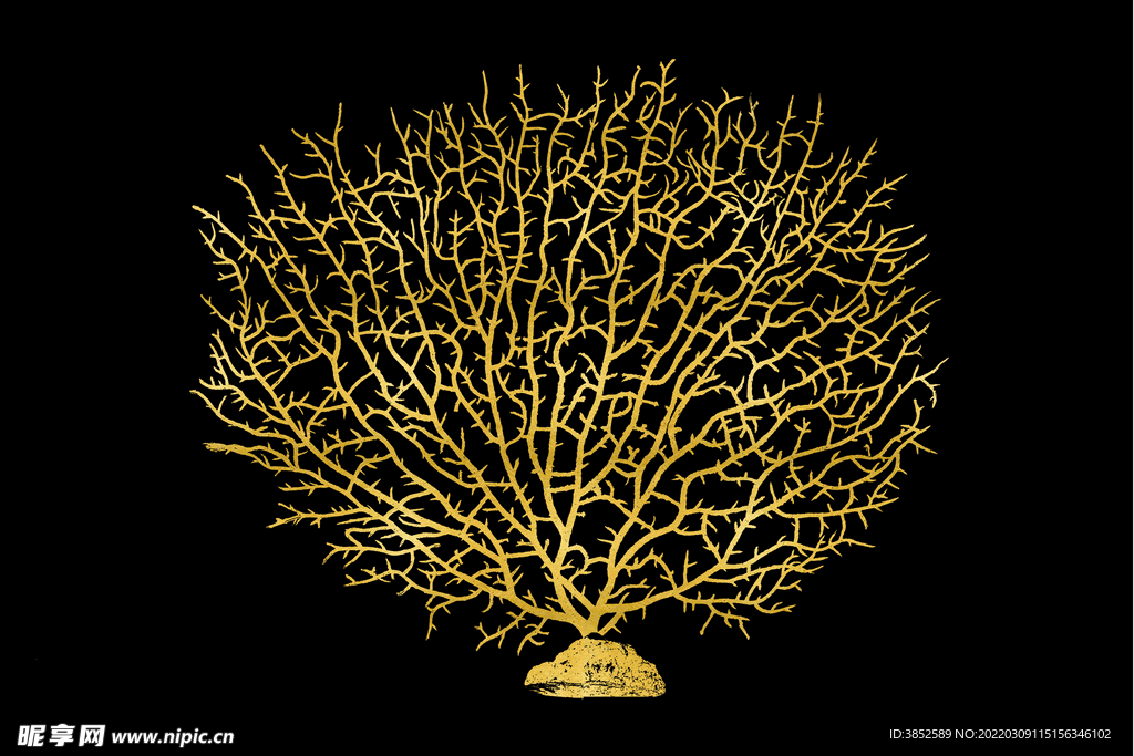黄金发财树