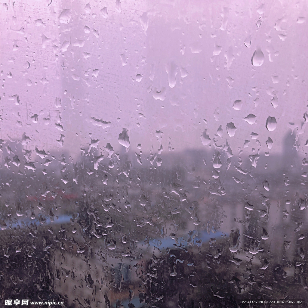 水珠露珠背景 