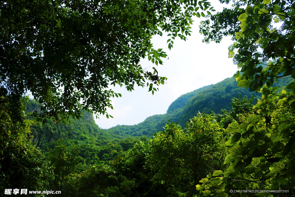 名山大山山脈 