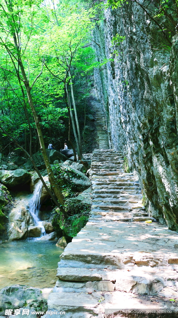 山路風景