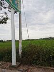 田園