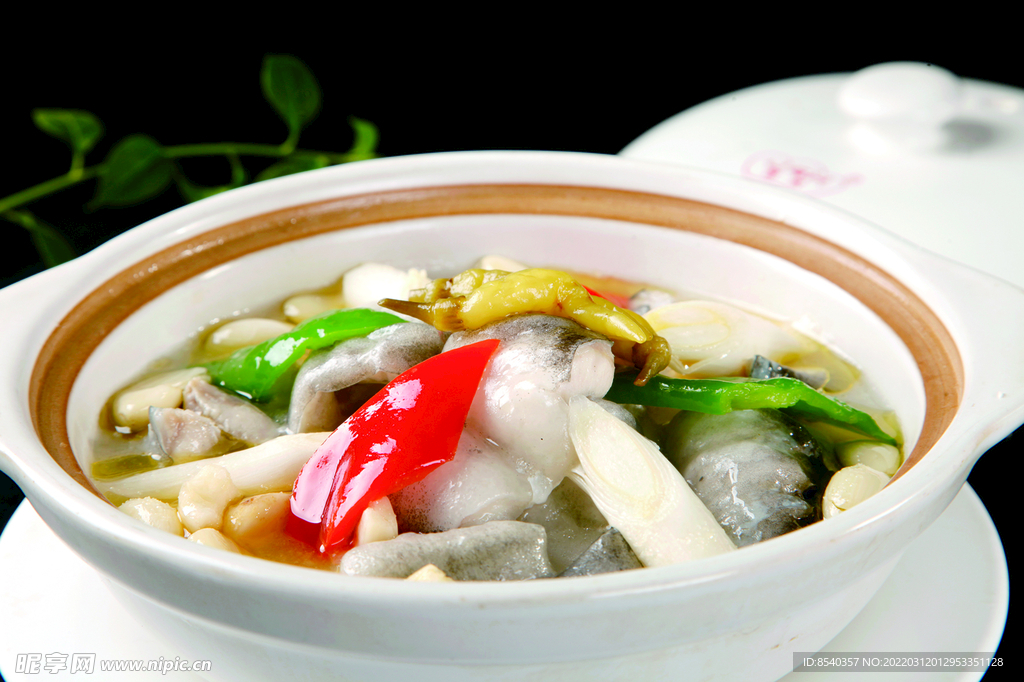 生燜鮰魚片