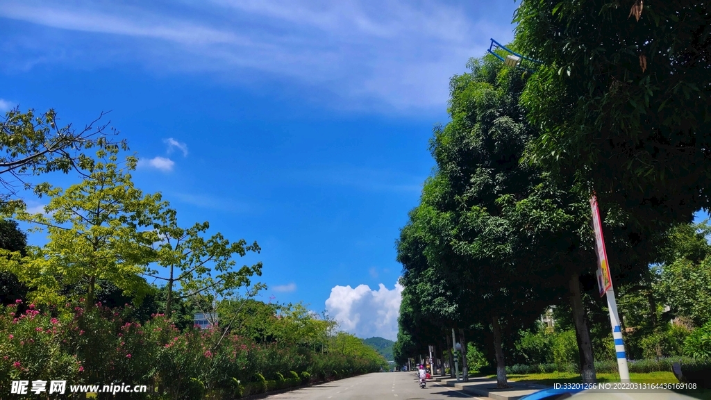 風(fēng)景