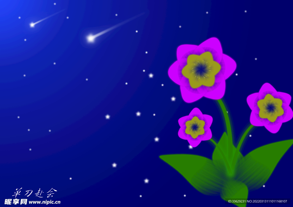 星空下的心愿