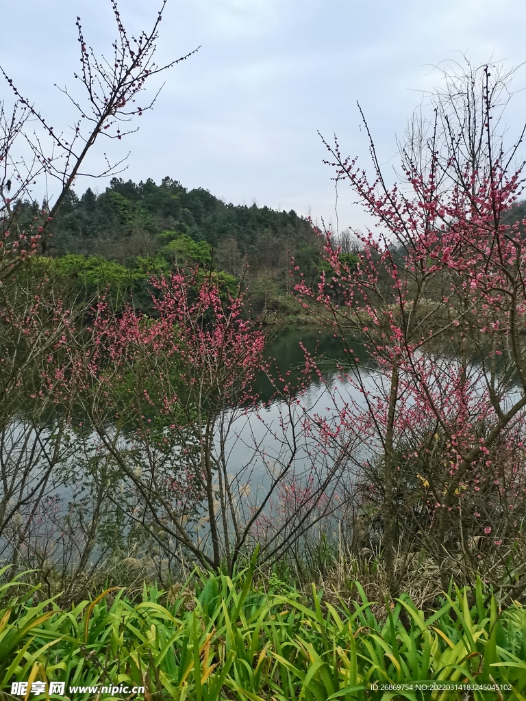 春季戶外山水