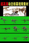 抖音小视频恐龙骨架绿幕抠像素材