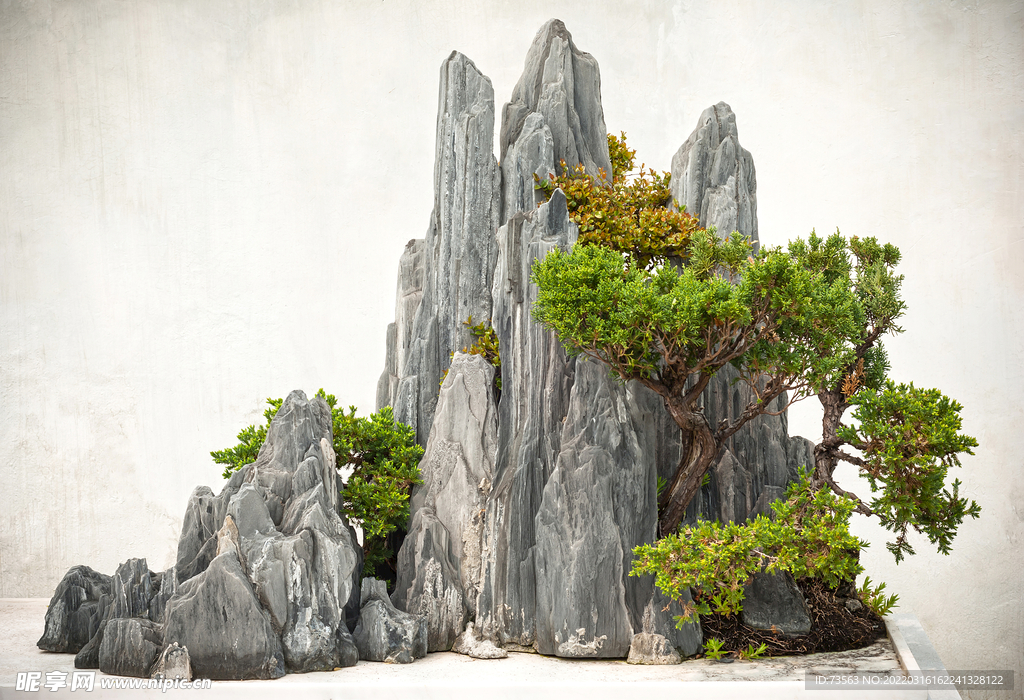 盤景 影樓素材 中國風 青松 