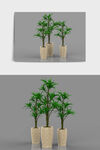 植物绿植C4D模型