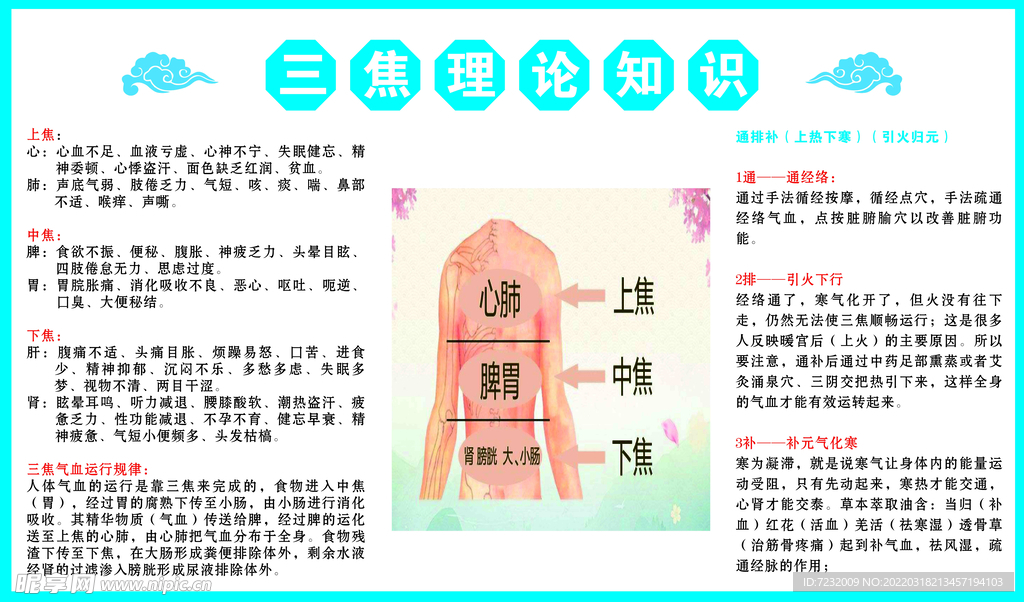 三焦理論知識(shí)