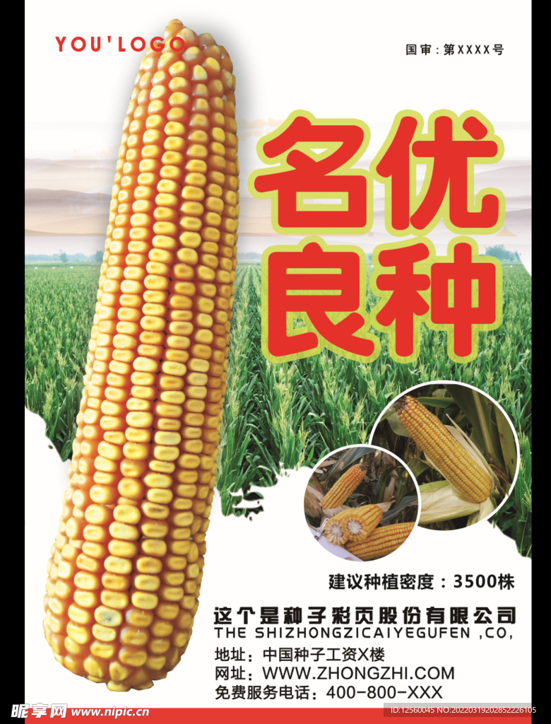 玉米海報