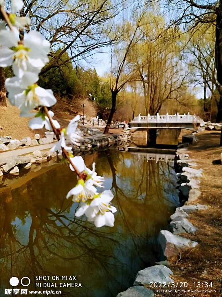 春天的北京公園