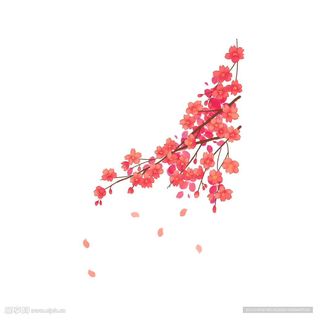櫻花