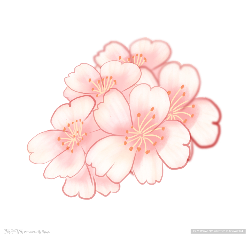 手繪櫻花
