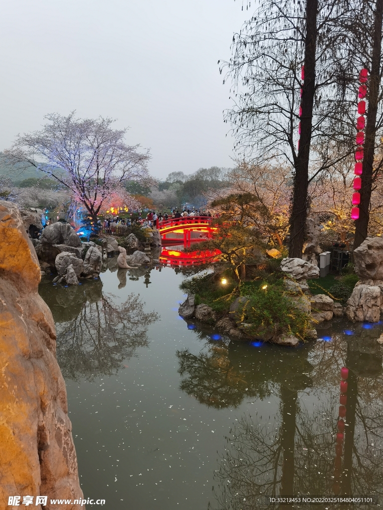 武漢東湖櫻花園
