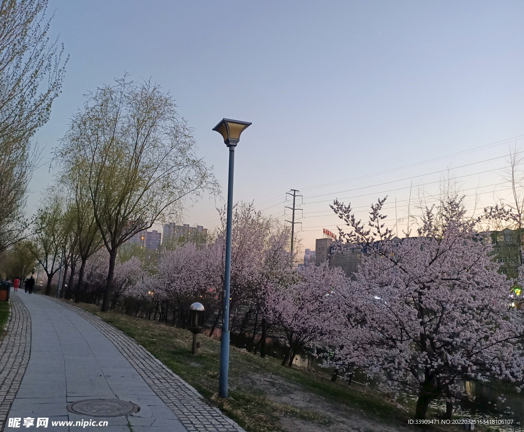 街景