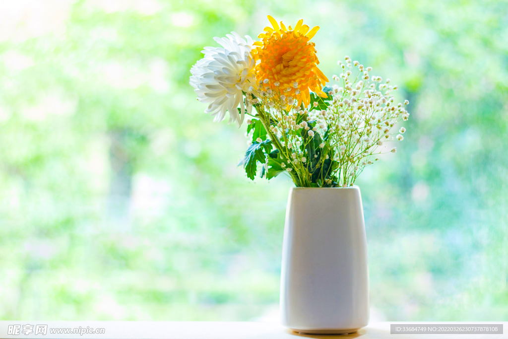 菊花 窗台上的花瓶