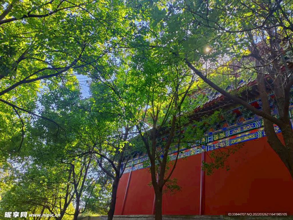 寺廟