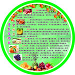水果营养及功效展板圆形