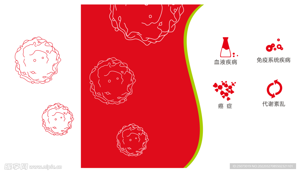 干細(xì)胞簡筆畫  