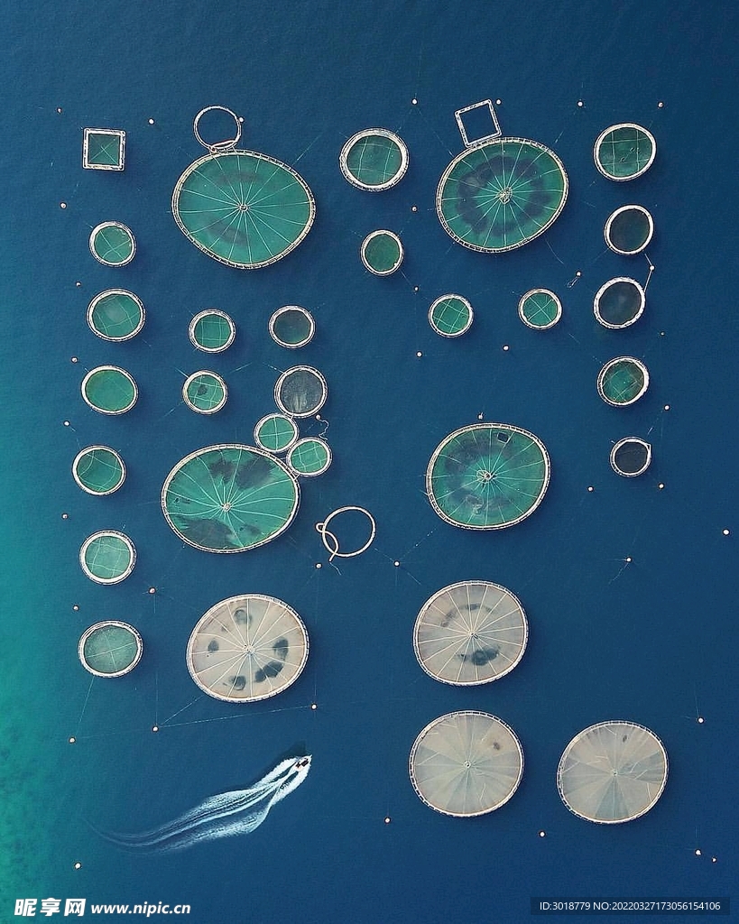 海岸紋理 