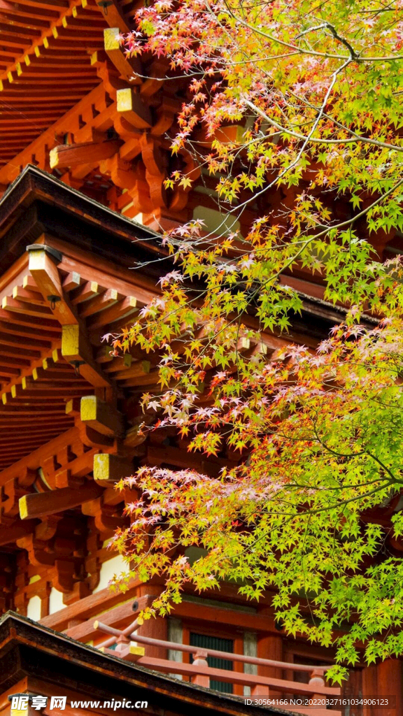 戶外復古建筑旅游景觀