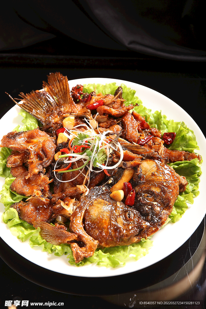 花式鯉魚
