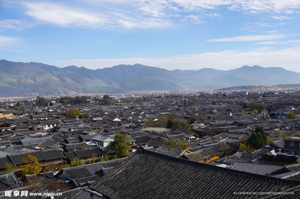 屋頂