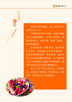 簡(jiǎn)潔明了版公司畫(huà)冊(cè)