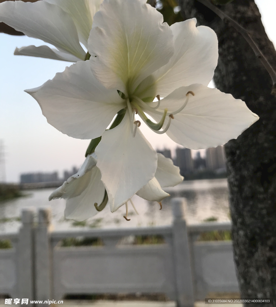 春暖花開